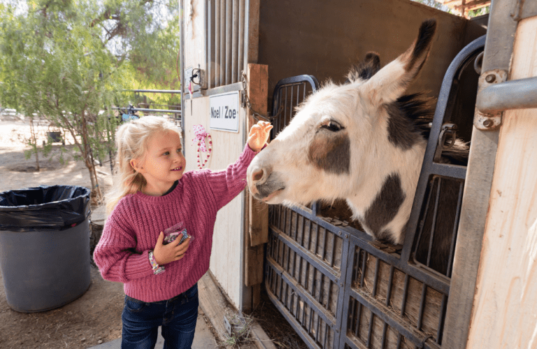 Jamul Trails Ranch