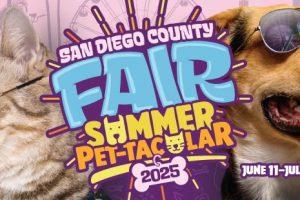 san diego fair