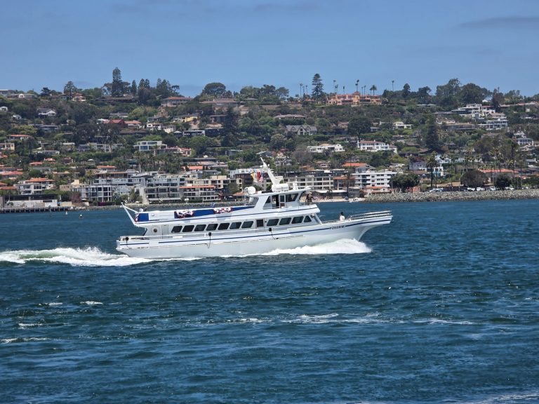 Wild Pacific Whale Watch