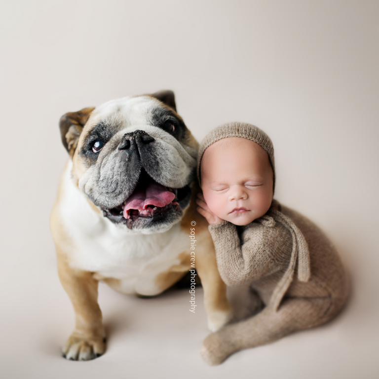San Diego Newborn Photographer | Sophie Crew Photography