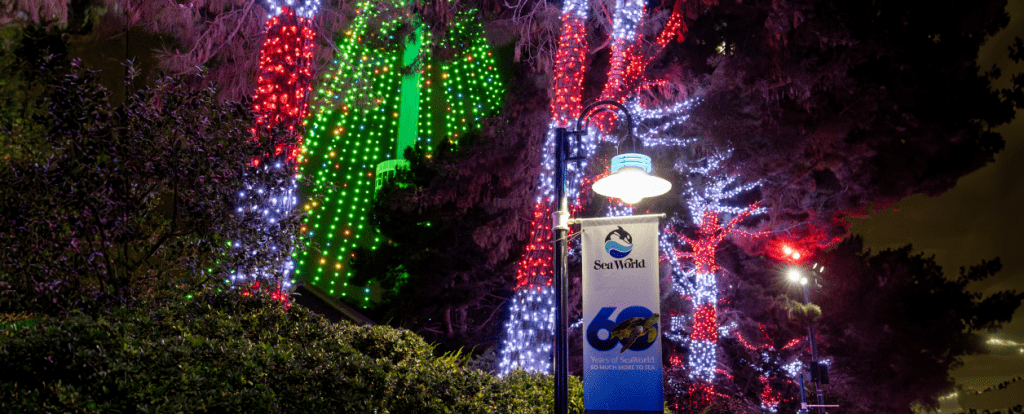 christmas at seaworld