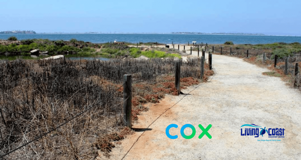 free things to do with kids in San Diego