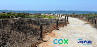 First 100 Guests Get Free Admission at The Living Coast, Thanks to Cox free things to do with kids in San Diego