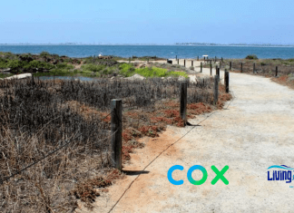 free things to do with kids in San Diego