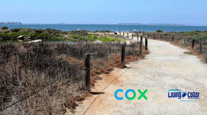 First 100 Guests Get Free Admission at The Living Coast, Thanks to Cox free things to do with kids in San Diego