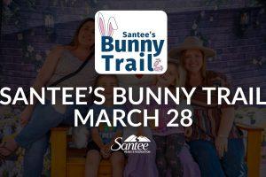bunny trail
