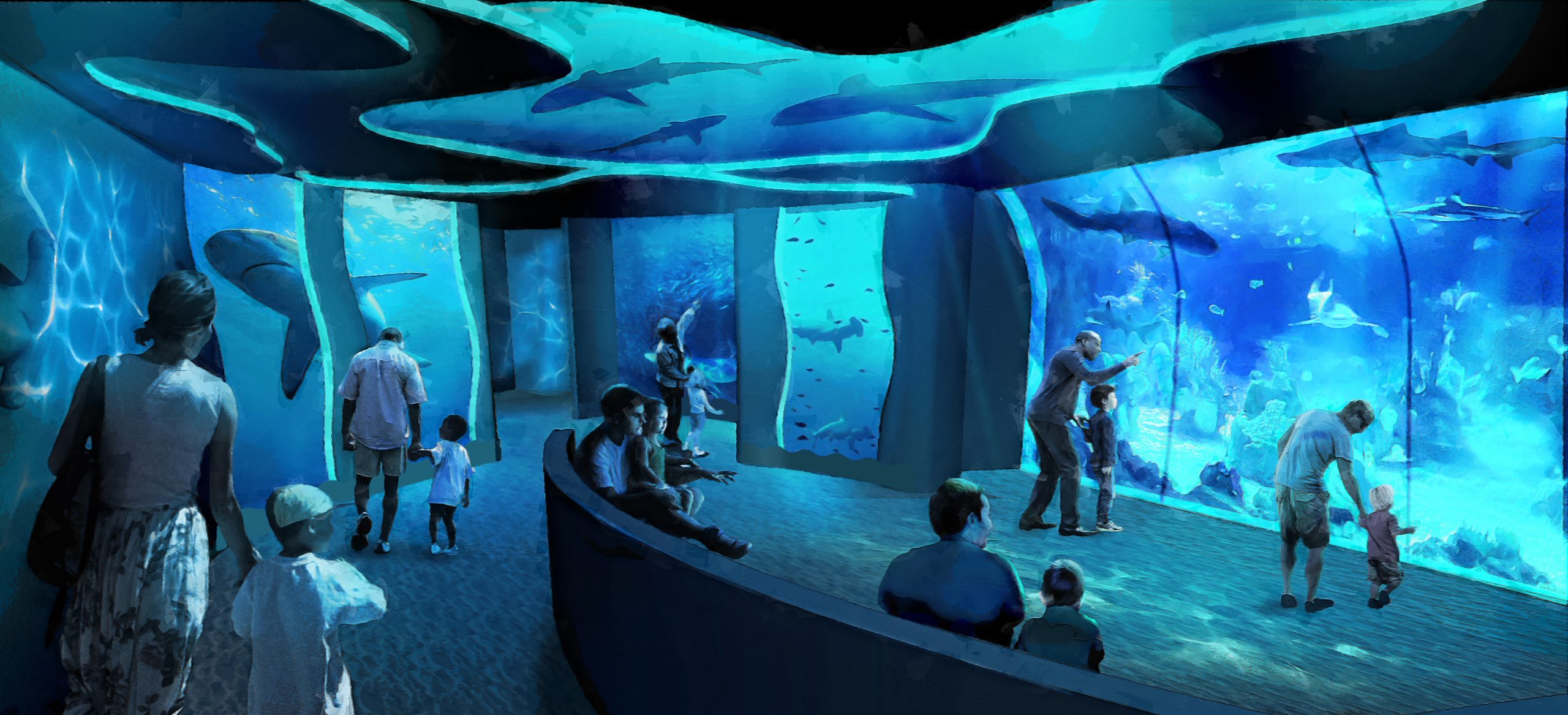 seaworld san diego Shark encounter