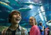 Family at seaworld san diego Shark encounter Tunnel