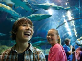 Family at seaworld san diego Shark encounter Tunnel