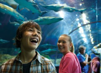 Family at seaworld san diego Shark encounter Tunnel