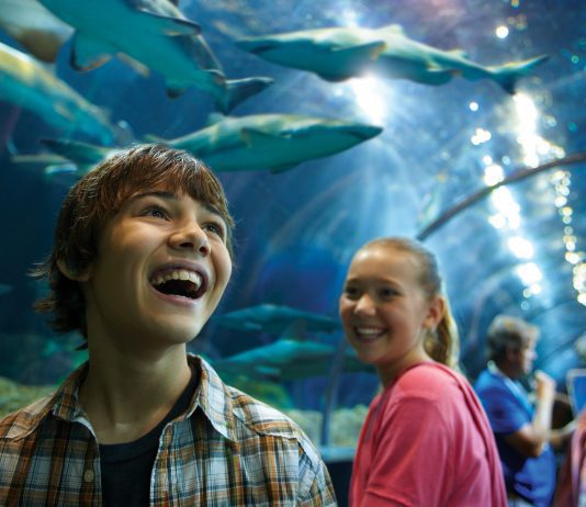Family at seaworld san diego Shark encounter Tunnel