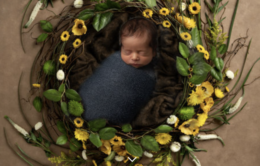 rosanna photography