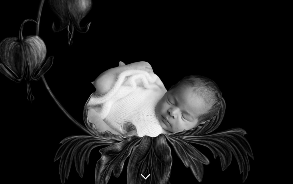 rosanna photography