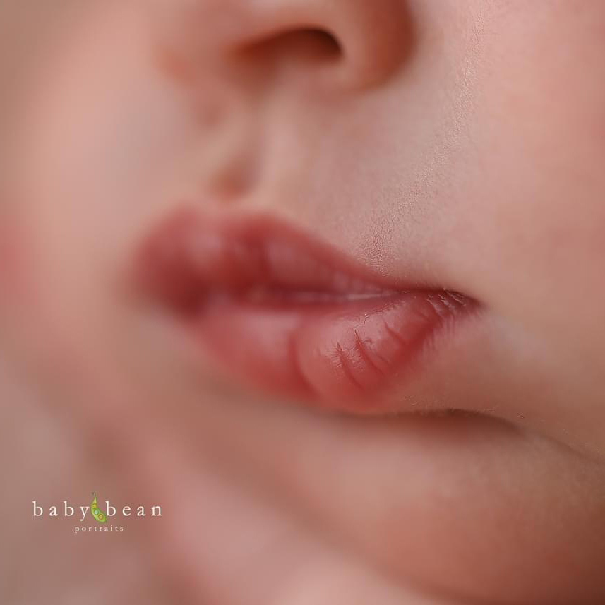 baby bean portraits